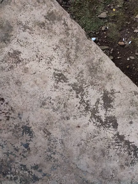 Asfalt ve toprak arkaplanı yosun, kaya ve kağıt parçalarıyla dolu.