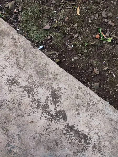 Asfalt ve toprak arkaplanı yosun, kaya ve kağıt parçalarıyla dolu.