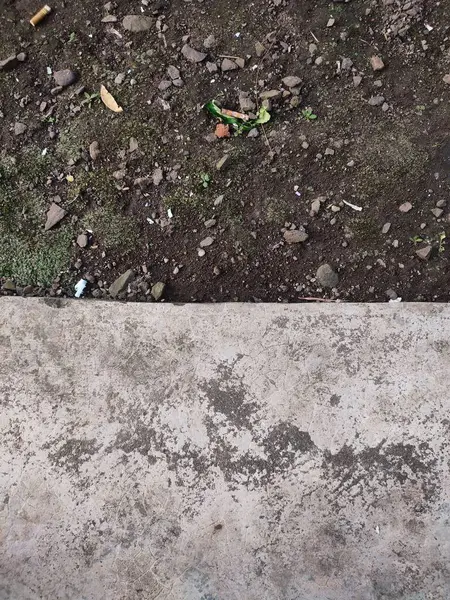 Asfalt ve toprak arkaplanı yosun, kaya ve kağıt parçalarıyla dolu.