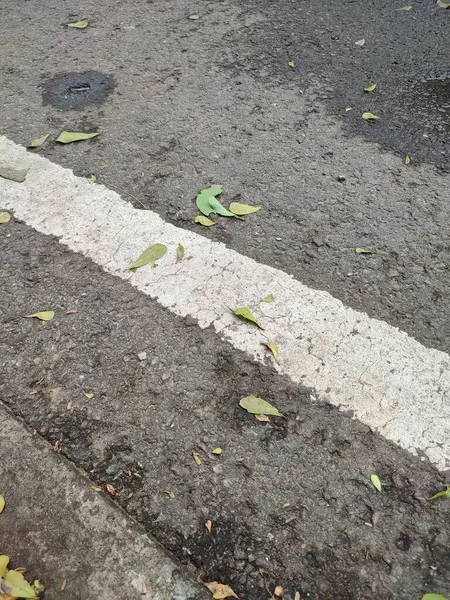 Sürücü güvenliği için asfalt yol yüzeyindeki beyaz çizgiler