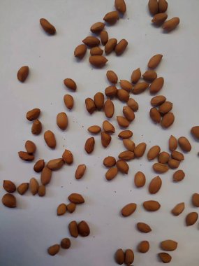 Beyaz arka planda izole edilmiş bir fıstık yığını.