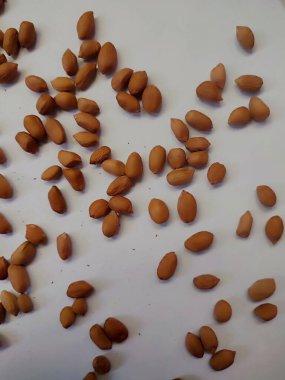 Beyaz arka planda izole edilmiş bir fıstık yığını.