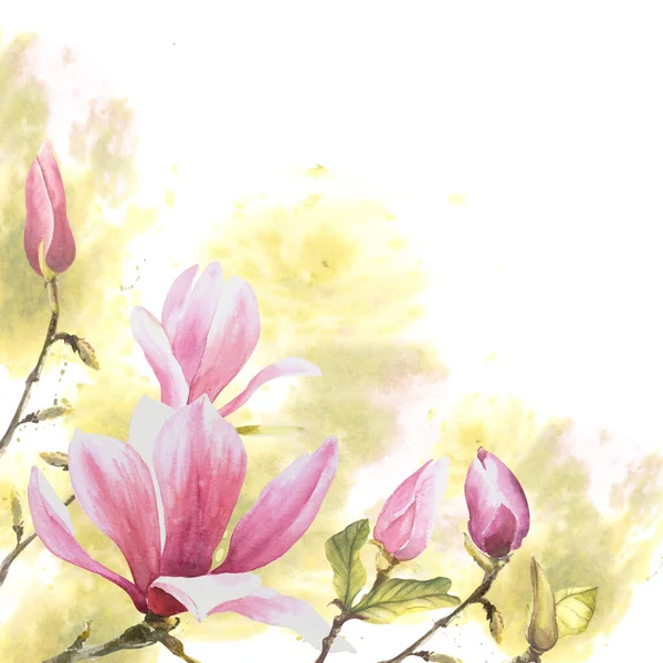 Blommig Ram Med Akvarell Rosa Magnolior Blommor Knoppar Och Blad — Stockfoto