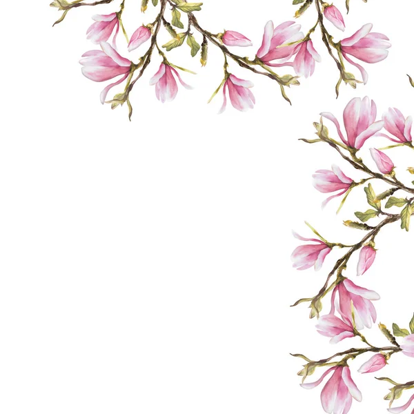 有水色粉色木兰花 芽和叶子的花框手工在白色背景上画了孤立的图画 邀请函和贺卡的植物学设计 — 图库照片