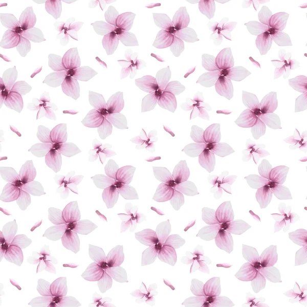 花色シームレスパターン 花紫色のマグノリアの手描きイラスト あなたのデザインのための隔離された白い背景のパターン テキスタイル 包装紙 カバー — ストック写真