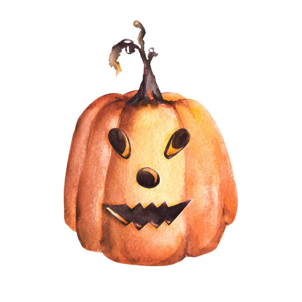 Graciosa Calabaza Cara Enojada Cabeza Naranja Calabaza Gato Halloween Ilustración —  Fotos de Stock