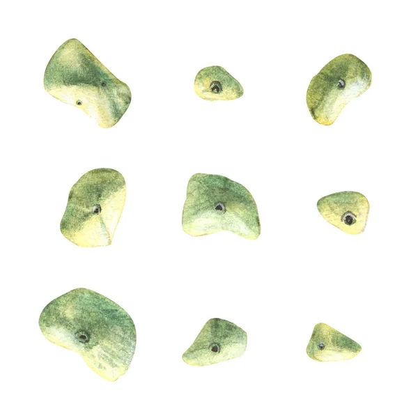 Conjunto Piedras Verdes Agarra Diferentes Formas Para Escalar Pared Soportes —  Fotos de Stock