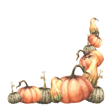 Sonbahar sebzeleri hasadı. Cadılar bayramı, Şükran Günü, davetiye, baskılar, el ilanları, doğa deco tebrik kartı için beyaz arkaplan tasarımı üzerine izole suluboya illüstrasyon