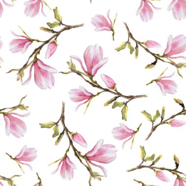 Magnolia pembe çiçek dalları pürüzsüz desen. Beyaz arka planda izole edilmiş suluboya el çizimi. Parmak iziniz için çiçek yineleyici tasarım, tekstil kaplama duvar kağıdı kapağı, halı, kumaş