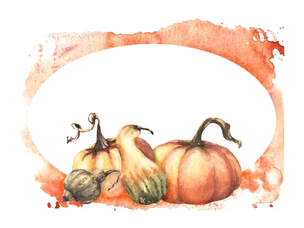 Vallende Pompoenen Ovaal Frame Herfst Groenten Oogst Geïsoleerde Aquarel Illustratie — Stockfoto