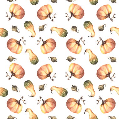 Sebzesiz balkabağı rengarenk desen. İzole edilmiş beyaz arka plan. Suluboya sonbahar çizimi. Şükran Günü kartları, posterleri, cadılar bayramı ambalajları, parmak izleri için el çizimi tekrarlanan sonbahar tasarımı