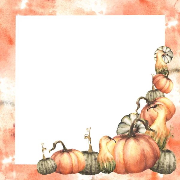 Fall Pumpkins Frame Autumn Vegetables Harvest Isolated Watercolor Illustration White — Stock Photo, Image