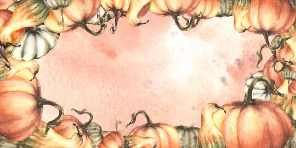 Podzimní Dýně Rám Podzimní Sklizeň Zeleniny Izolovaný Akvarel Ilustrace Akvarelem — Stock fotografie