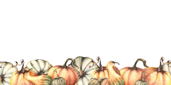 Zeleninové Bezešvé Dýně Barevné Okraje Vzor Izolované Bílé Pozadí Podzimní — Stock fotografie