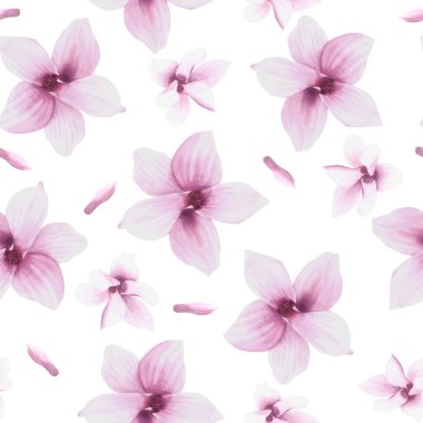 Çiçek suluboya kusursuz desen. Mor Magnolia 'nın el boyaması çizimi. Tasarım, tekstil, ambalaj kağıdı, duvar kağıdı, kapak için izole edilmiş beyaz arka planda desen..