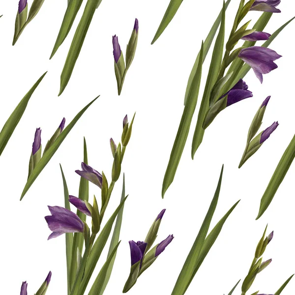 Akvarell Gladiolusor Sömlöst Nster Handritade Blommig Illustration Violetta Blommor Knoppar — Stockfoto