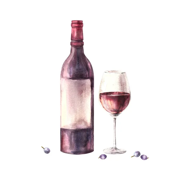 A bottle and glass of red wine with grape berries. Watercolour hand draw food illustration on white background. Wine making set for your design print of sticker, flyers, drink menu, wine list, card