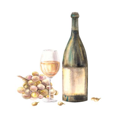 Üzüm ve üzümlü bir şişe ve bir bardak beyaz şarap. Suluboya el, beyaz arka planda yemek çizimi yapıyor. El ilanları, içki menüsü, şarap listesi, etiket tasarımı için şarap yapma seti