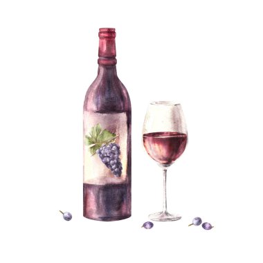 A bottle and glass of red wine with grape berries. Watercolour hand draw food illustration on white background. Wine making set for your design print of label sticker, flyers, menu, wine list, card clipart