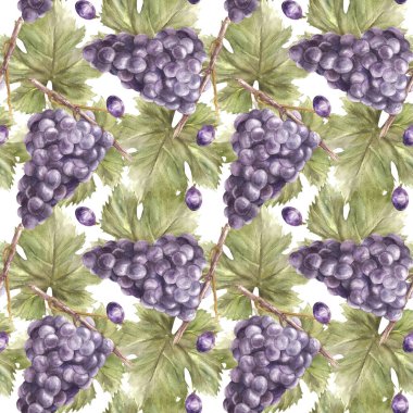 Üzüm yaprakları, üzüm yaprakları ve asma yapraklarıyla dikişsiz suluboya desen. Paket kağıdınız için bitki tasarımı, etiketler, kumaş baskısı botanik illüstrasyon izole edilmiş, beyaz arkaplan