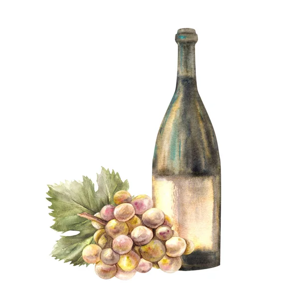 A bottle of white wine with bunch of grapes and grapevine Watercolour hand draw food illustration on white background. Wine making set for design of flyers, drink menu, wine list, label, sticker print
