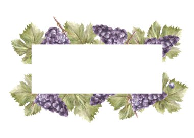 Suluboya dikdörtgen çerçeve, bir demet mavi üzüm yaprağı ve üzüm çileği. Üzüm etiketi kart, şarap listesi, davetiye, restoran, beyaz arka planda izole edilmiş bar baskısı için el boyaması illüstrasyon