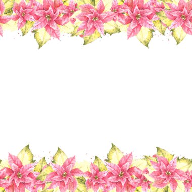 Suluboya, pürüzsüz sınır, pembe sarı noktalı çerçeve, pulcherrima çiçekleri, yapraklar, su sıçramaları. Noel için bitki illüstrasyonu, Yeni Yıl davetiye paketi izole edilmiş beyaz arkaplan