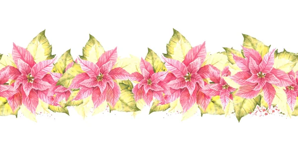 Akvarell Målade Sömlös Gräns Mönster Rosa Gul Poinsettia Pulcherrima Blommor — Stockfoto