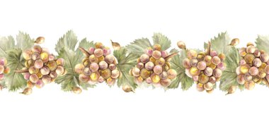 Suluboya kusursuz sınır deseni. Bir demet yeşil üzüm, yaprak ve üzüm. Asma elle boyanmış. Paket kağıdı, etiket, kumaş. Botanik illüstrasyon beyaz arkaplanda izole edildi. 