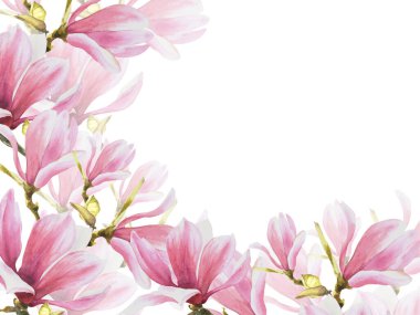 Çiçek pankartı, suluboya pembe manolyalar, çiçekler, tomurcuklar ve yapraklarla çerçeveli El, beyaz arka planda izole edilmiş bir resim çizdi. Düğün, davetiye ve tebrik kartları için botanik şablonu