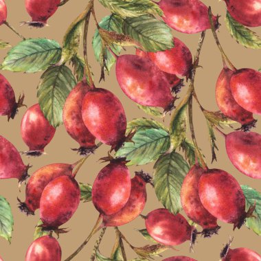 Kırmızı çatallı yabani gül dalları, yeşil yapraklı köpek gülü, pürüzsüz desenli el suluboya resimli duvar kağıdı, ambalaj kağıdı, kumaş izole edilmiş renkli arkaplan