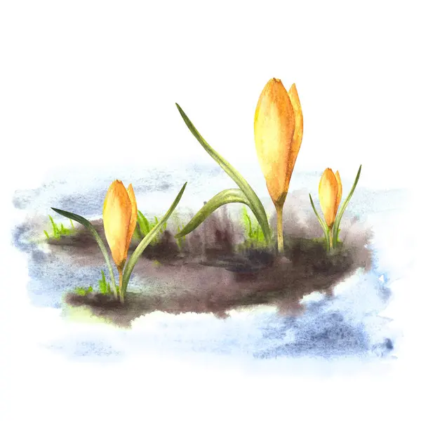 Handritad Akvarell Illustration Ankomst Våren Uppvaknandet Naturen Efter Vintern Smältande — Stockfoto