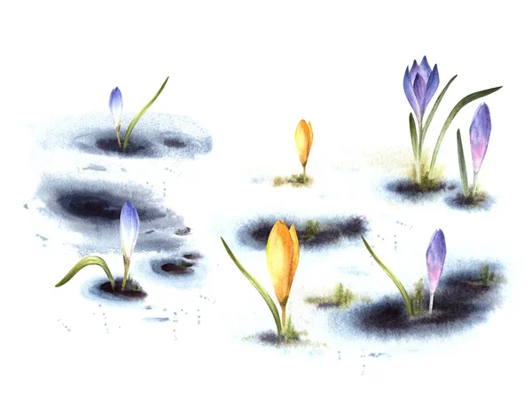 Akvarell Målade Illustration Ankomst Våren Uppvaknandet Naturen Efter Vintern Gul — Stockfoto