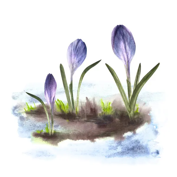 Akvarell Målad Illustration Ankomst Våren Uppvaknandet Naturen Efter Vintern Smältande — Stockfoto