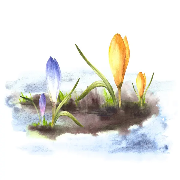 Akvarell Målade Clipart Illustration Ankomst Våren Uppvaknandet Naturen Efter Vintern — Stockfoto
