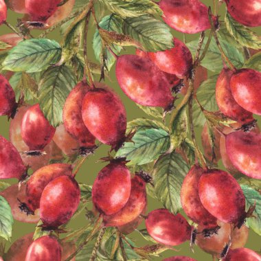 Kırmızı çatallı yabani gül dalları, yapraksız gül yapraklı köpek desenli el suluboya resimli duvar kağıdı, ambalaj kağıdı, kumaş yalıtılmış yeşil braun arkaplan