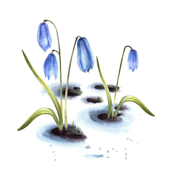 Akvarell Illustration Ankomst Våren Uppvaknandet Naturen Efter Vintern Smältande Snö — Stockfoto
