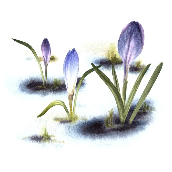 Akvarell Målad Illustration Ankomst Våren Uppvaknandet Naturen Efter Vintern Smältande — Stockfoto