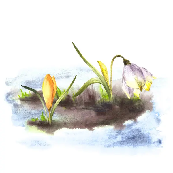 Primära Blommor Akvarell Målade Clipart Illustration Ankomst Våren Uppvaknande Naturen — Stockfoto