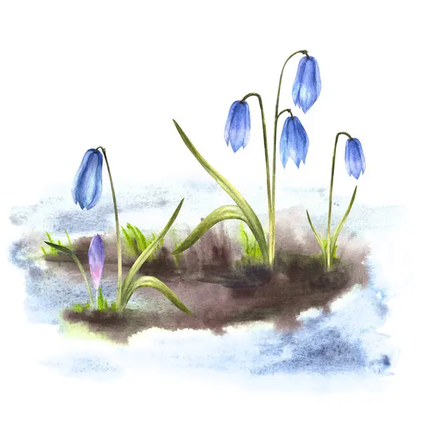 Akvarell Målning Primära Blommor Illustration Ankomst Våren Uppvaknandet Naturen Smältande — Stockfoto