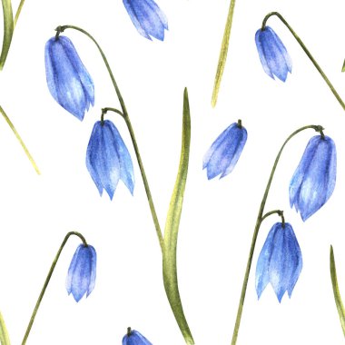 İlkbahar bitkilerinin dikişsiz desenleri, ciyaklamaları, bahar tırpan mavisi kardamlaları... Birincil çiçekler... Düğün dekolteleri, doğum günleri, paskalya ambalajları, izole edilmiş beyaz arka plan çizimleri...