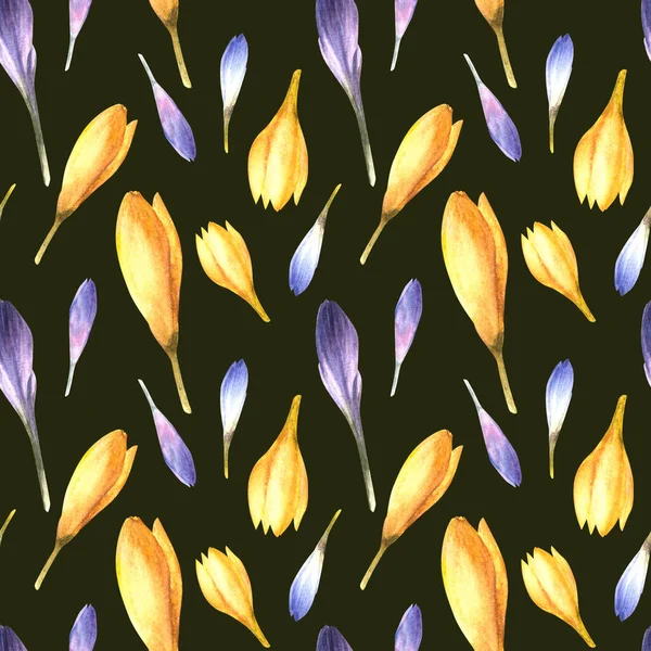 Watercolor early spring primary flowers Blue, yellow crocuses, saffron seamless pattern Hand drawn illustration Ester wedding birthday wrapping, scrapbooking fabric Isolated clipart on dark background