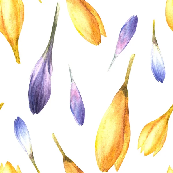 Watercolor early spring primary flowers Blue, yellow crocuses, saffron seamless pattern. Hand drawn illustration Ester wedding birthday wrapping, scrapbooking fabric. Isolated clipart white background