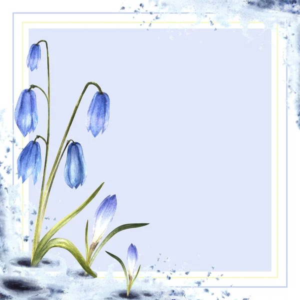 Watercolor painting spring primary flowers illustration Arrival of spring card template. Melting snow landscape blue scylla, crocuses, snowdrops plant sprouting through the snow Isolated background