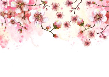 Bahar ağacı şablonundan filizlenen bir dal. El çizimleri sakura, kiraz ya da elma tomurcukları ve suluboya lekesi üzerinde çiçekler arkaplandaki illüstrasyon illüstrasyonunu izole eder