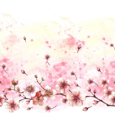 Bahar sakurasız sınırdan çiçek açan dal, afiş illüstrasyonu Çiçekler açan meyve ağacı kirazı veya elma tomurcukları sulu boya ile sulanan çiçekler Bahar dönemi arka planında izole edilmiş çizimler