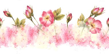 Yaban gülü kalçası tomurcukları, yapraklar, köpek, kanser ya da daha parlak gül çiçekleri suluboya sarı lekeler üzerinde kusursuz sınır deseni, arka plan kaplaması, duvar kağıdı çizimi izole edilmiş el çizimi