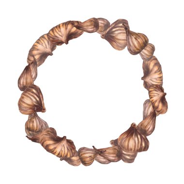 Suluboya boya, kurutulmuş incir, tüm meyve dairesi tasarımı. Kuru meyve çelengi çerçevesi. Kart, etiket, etiket, logo, etiket baskısı, el çizimi illüstrasyonları için ekin parçası. İzole edilmiş beyaz arkaplan