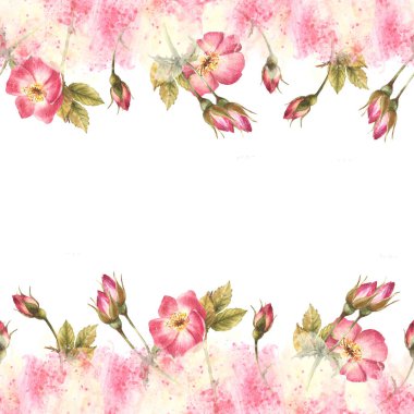 Yaban gülü kalçası tomurcukları, yapraklar, köpek, kanser ya da daha parlak gül çiçekleri suluboya pembe lekeler üzerinde kusursuz sınır çerçevesi, arka plan kaplaması, duvar kâğıdı çizimi izole edilmiş el çizimi