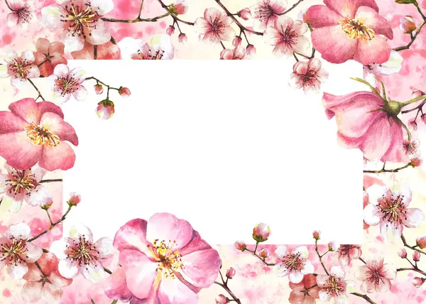 Akvarel Kvetoucí Jarní Sakura Větev Třešňovníku Růžovým Bokem Psími Nebo — Stock fotografie